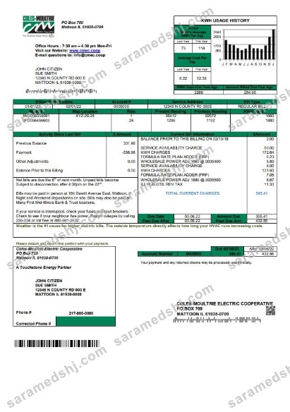 USA Coles – Moultrie utility bill template in Word and PDF format